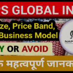NAPS Global India IPO